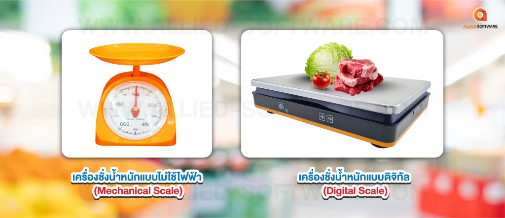 เครื่องชั่งน้ำหนักที่ใช้ในร้านของสด, ร้านของสดแช่แข็ง, โปรแกรมร้านของสด