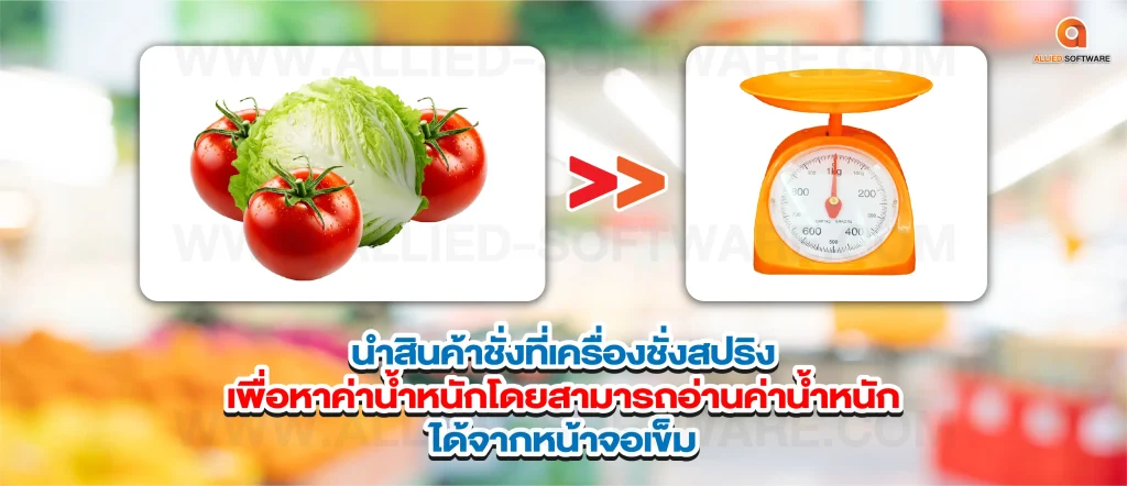 เครื่องชั่งน้ำหนักที่ใช้ในร้านของสด, ร้านของสดแช่แข็ง, โปรแกรมร้านของสด